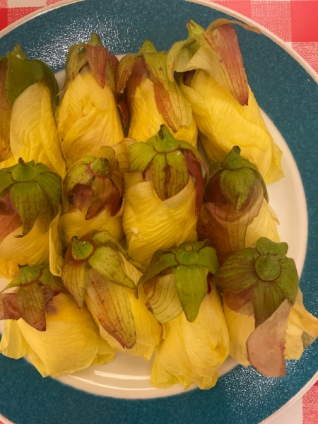 花オクラのフリット